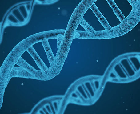 360基因官方網站