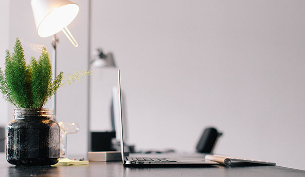 小程序開發|APP軟件開發|網站系統開發公司-一網天行