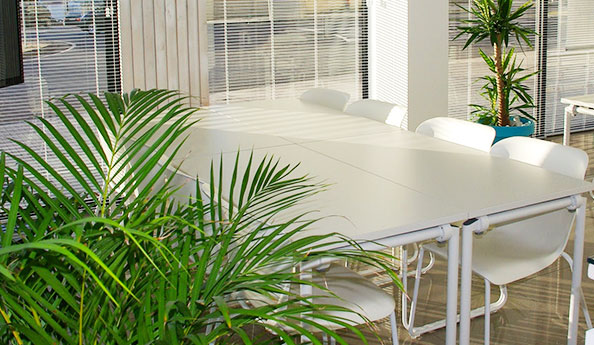 小程序開發|APP軟件開發|網站系統開發公司-一網天行